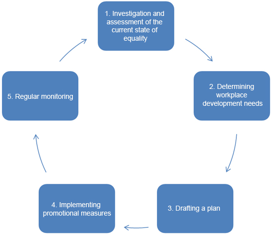 Process diagram for measures to promote equality.