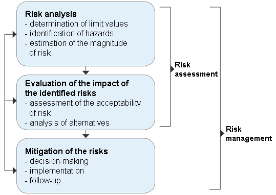 Graph: Phases of risk management process