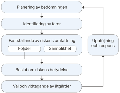 Riskbedömningens faser är planering av bedömningen, identifiering av risker, fastställande av riskens omfattning med tanke på konsekvenserna och sannolikheten, beslut om riskens betydelse, val och genomförande av åtgärder samt uppföljning och respons.